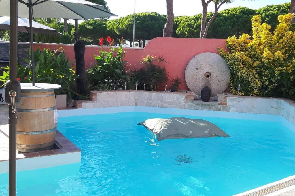 Hebergement Chambre D'Hotes Grau Du Roi Mas Des Marines Piscine Adult Only เลอ โกร-ดู-รัว ภายนอก รูปภาพ